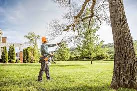 Best Tree Health Inspection  in Midlothian, VA